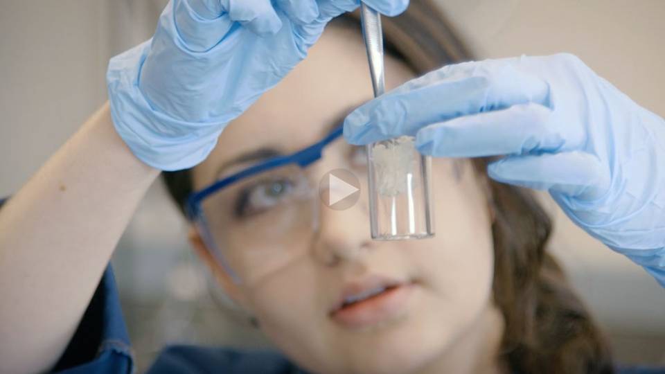 Research Experience for Undergraduates (REU) program Ilana Krause