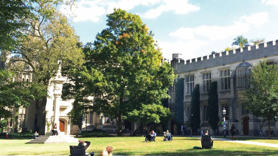 Students on grass looking at sky