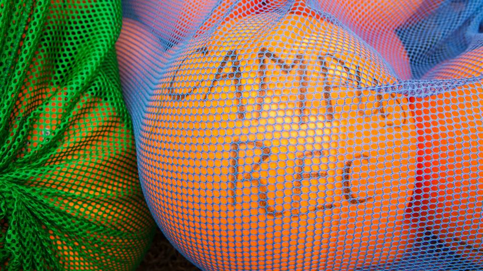 Orange dodgeballs with the words Campus Rec