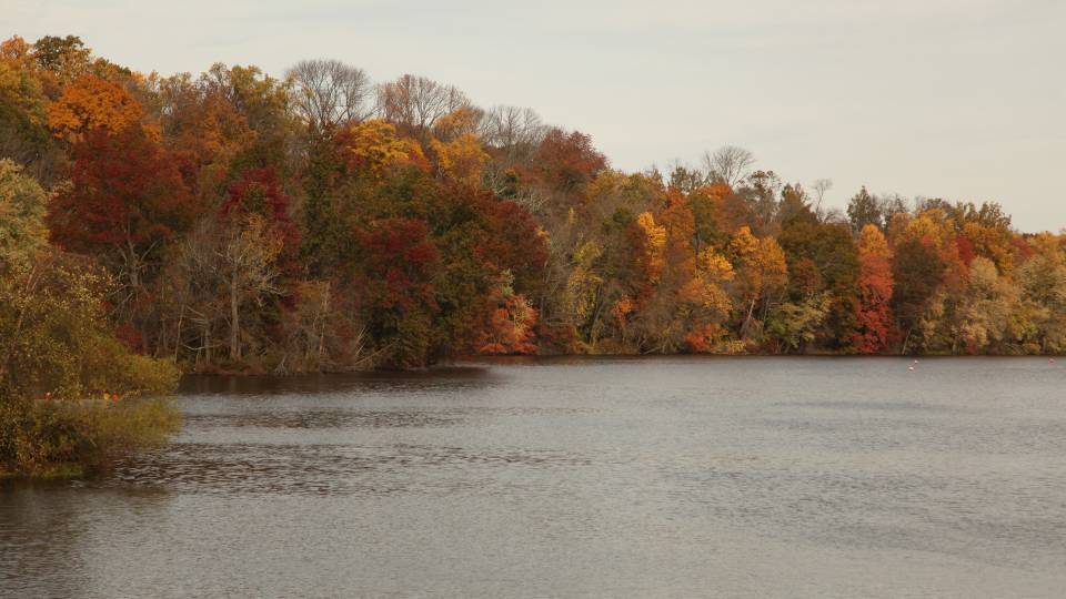 Carnegie Lake in the fall