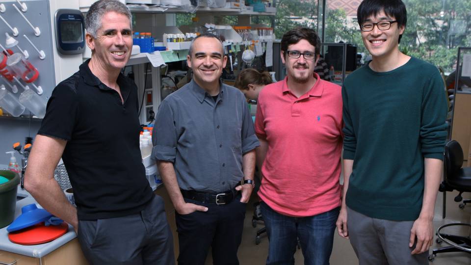 Joshua Rabinowitz, Stanislav Shvartsman, Robert Marmion and Yonghyun Song