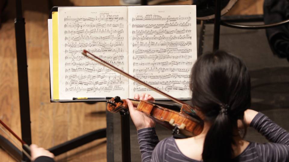 Violinist looking at music on music stand