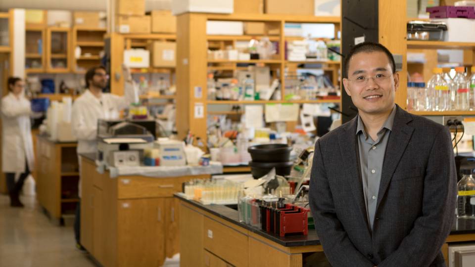 Yibin Kang in his lab