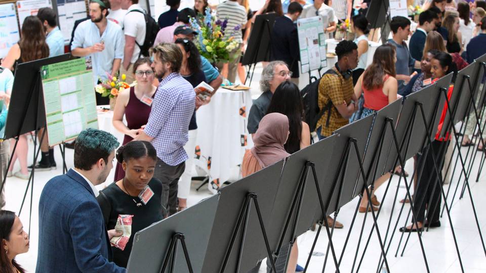 Crowd gathered around posters at Discovery Day 2018