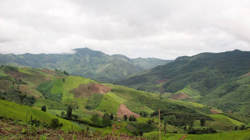 Southeast Asian deforestation