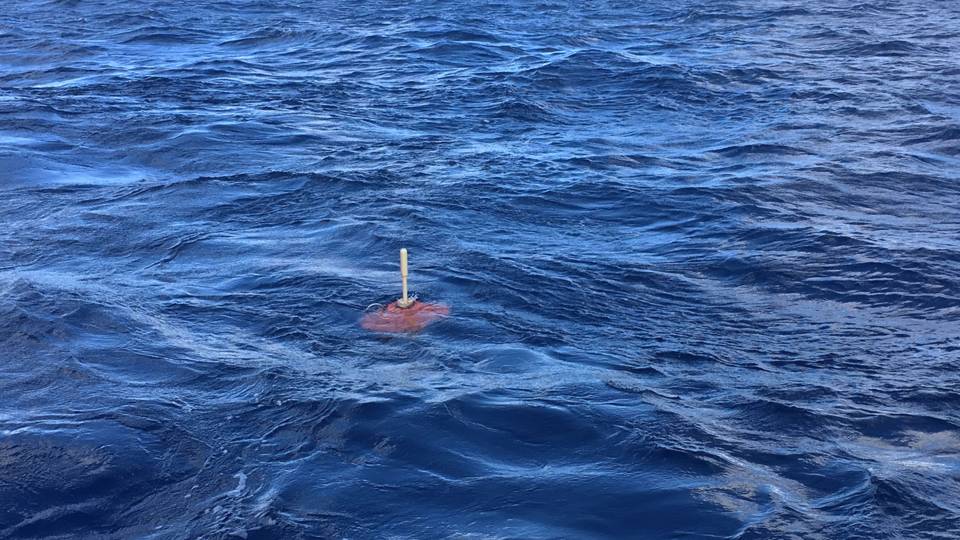 A MERMAID in the ocean