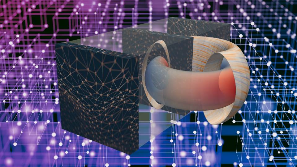Conceptual image of a tokamak