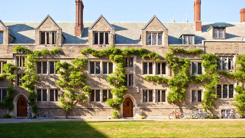 Building with ivy on the walls
