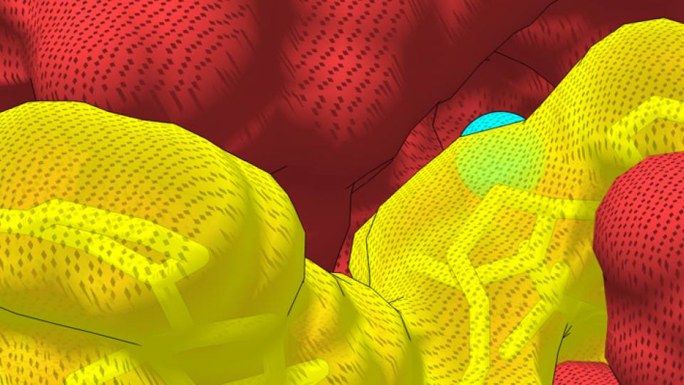 Nocturnin (red) interacting with NADPH (yellow).