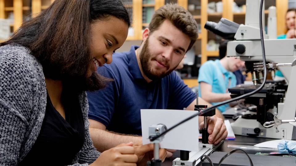 Two students work on a science project