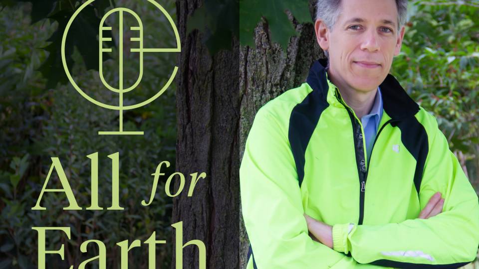 Ben Strauss leans against a tree in a forest