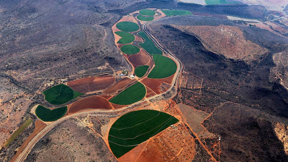 Aerial view of cultivated landscape