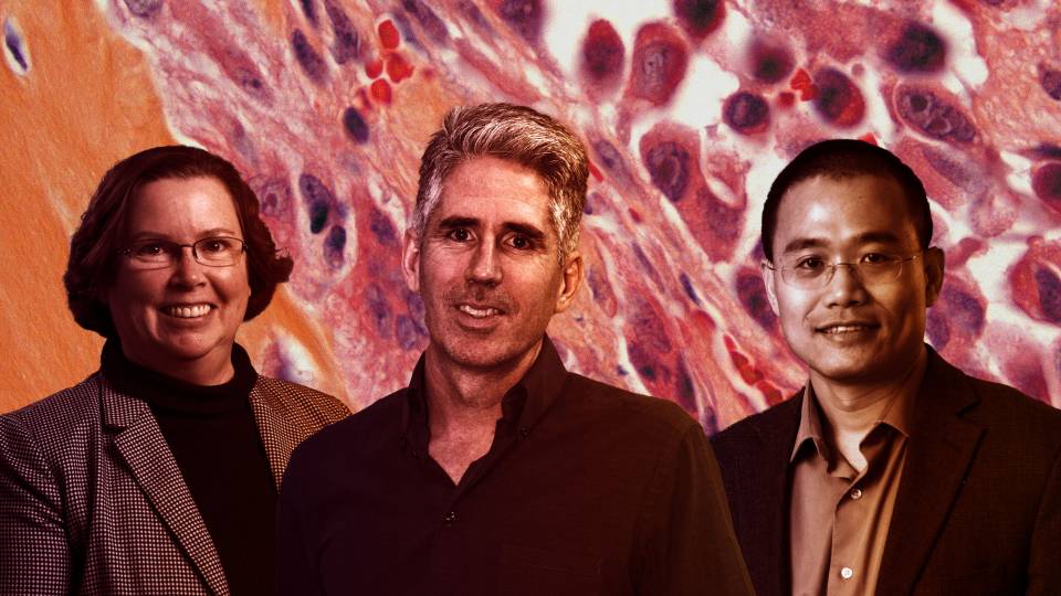 Eileen White, Joshua Rabinowitz and Yibin Kang in front of microscopy of cells