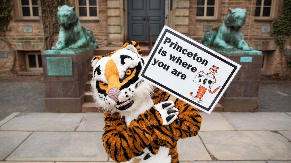 Tiger holding up a sign that reads, "Princeton is where you are."