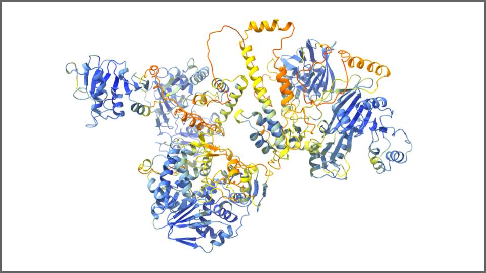 The structure and function of a poorly characterized region of Hepatitis E’s ORF1.