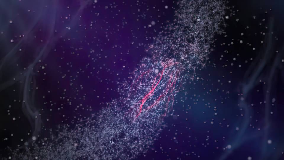 electrical impulses in the neurons