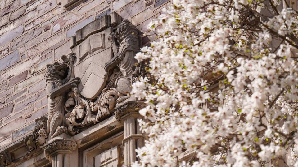 Bas relief of Princeton shield and tigers and magnolia flowers