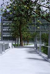 New Pedestrian Bridge