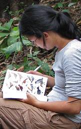 Observing birds in Panama