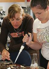 Fieldwork in Bermuda