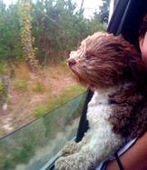 Photo Contest Samuel Lazerwitz