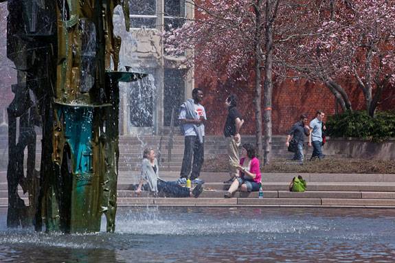 Blossoms fountain