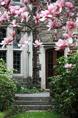 Blossoms procter hall