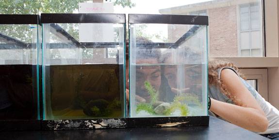 PUPP Finger + Stankowska