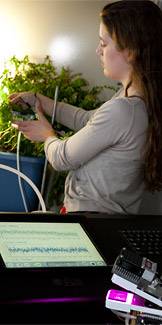 Sr Thesis Posner index