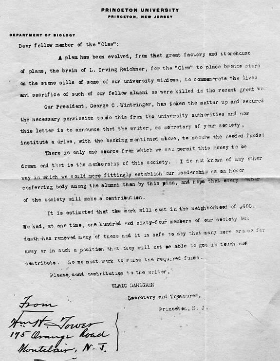 Library Blogs III stars