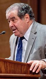 Scalia index