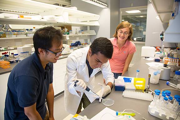 Lab Learning Villaneuva