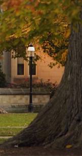 Good Morning Princeton index