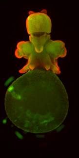 2014 Art of Science index visual