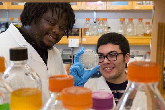 Lab Learning Gammie lab