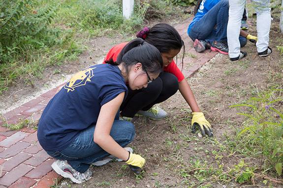 Community Action clean up