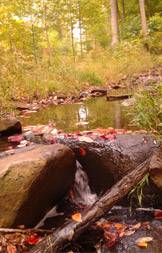 Campus as lab Washington Stream