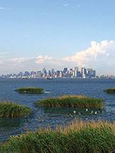 ResilientShores_index