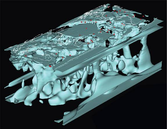 Jeroen Tromp seismic waves locations