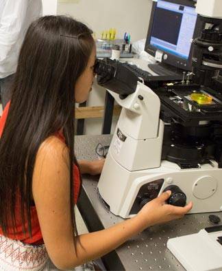 Lab Learning Isabelle Augensen