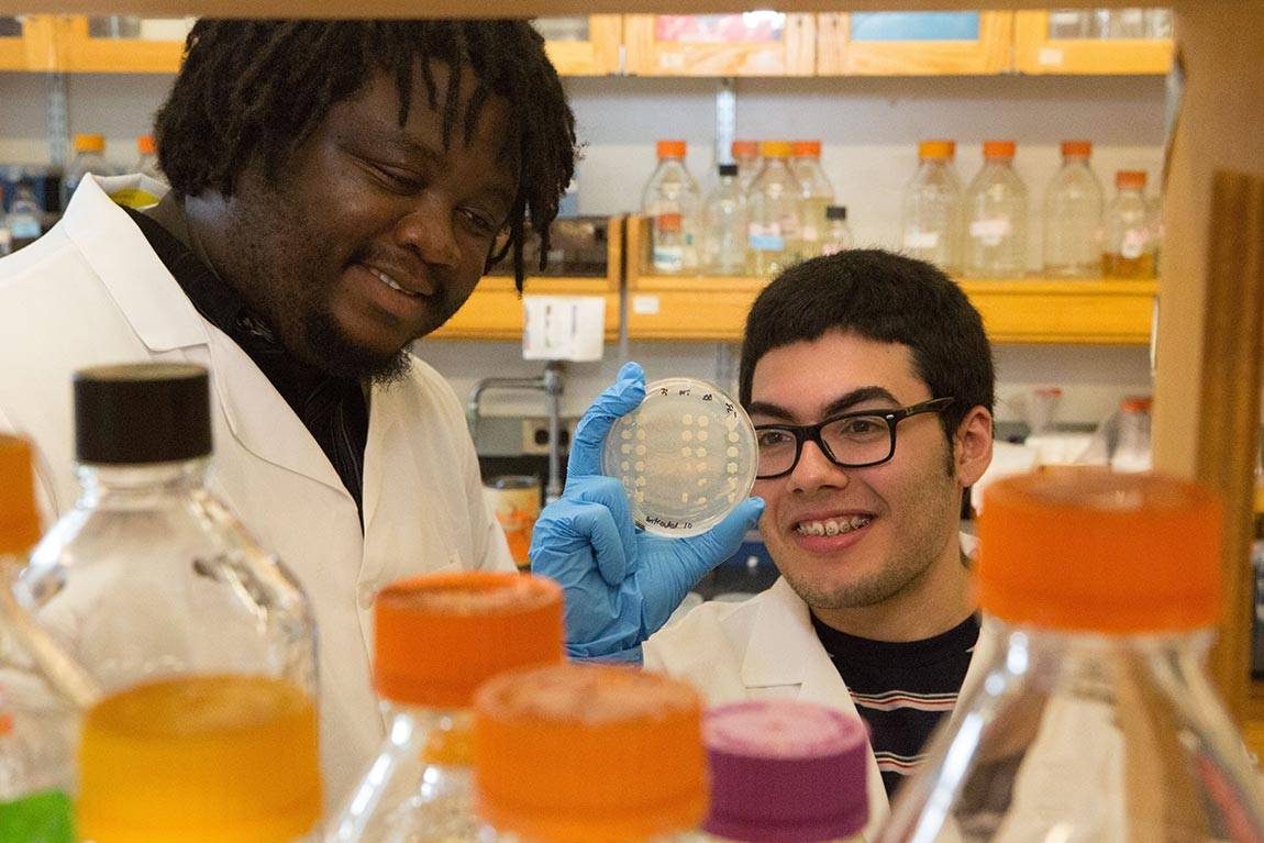 Youth Campus Summer Lab Learning with Paul Rodriguez and Leslie Alexis