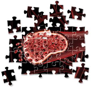 bioengineering index2