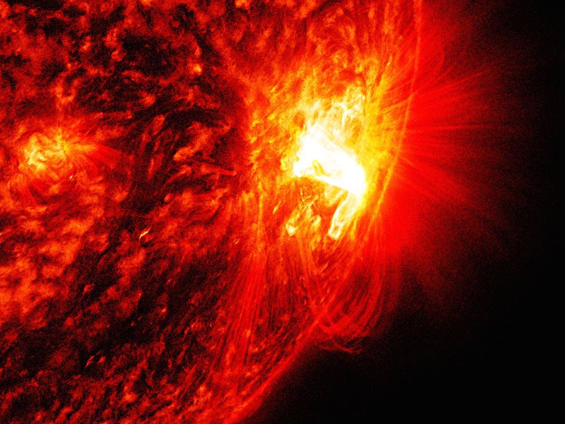 Princeton Plasma Physics Laboratory solar flare