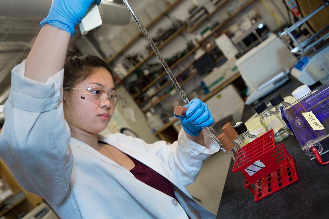 Fragile Families senior Terry Zhu in lab