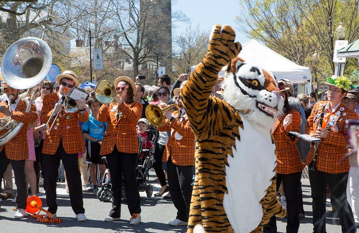 Tiger at Communiversity