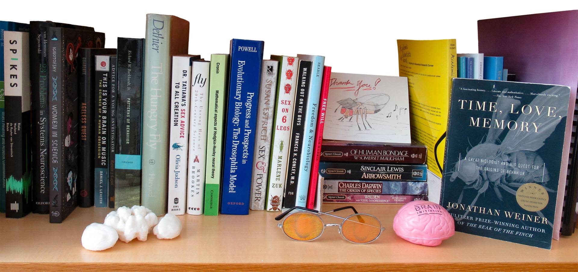 Books on Mala Murthy's bookshelf