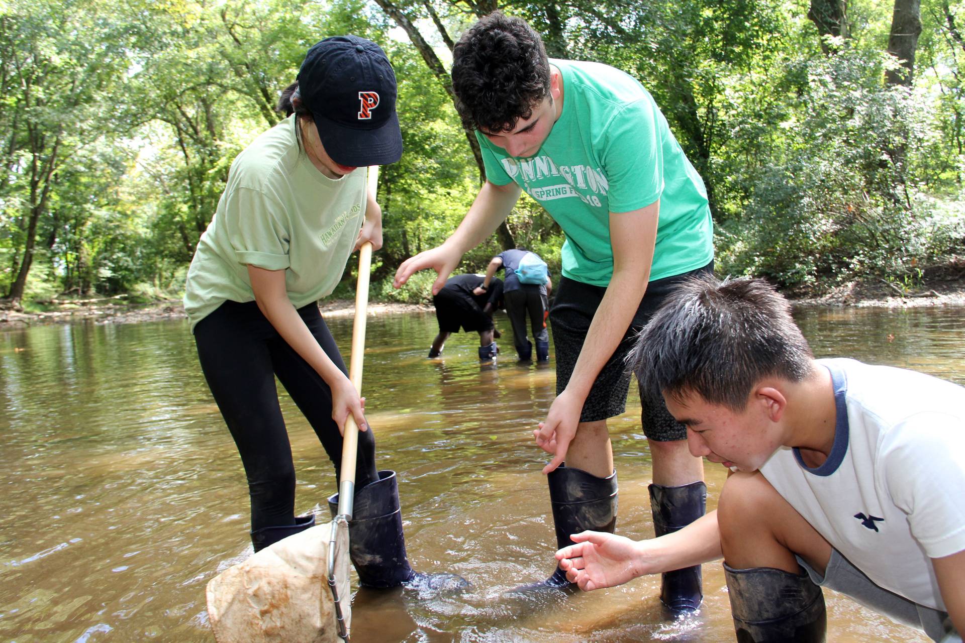 Students working in stream