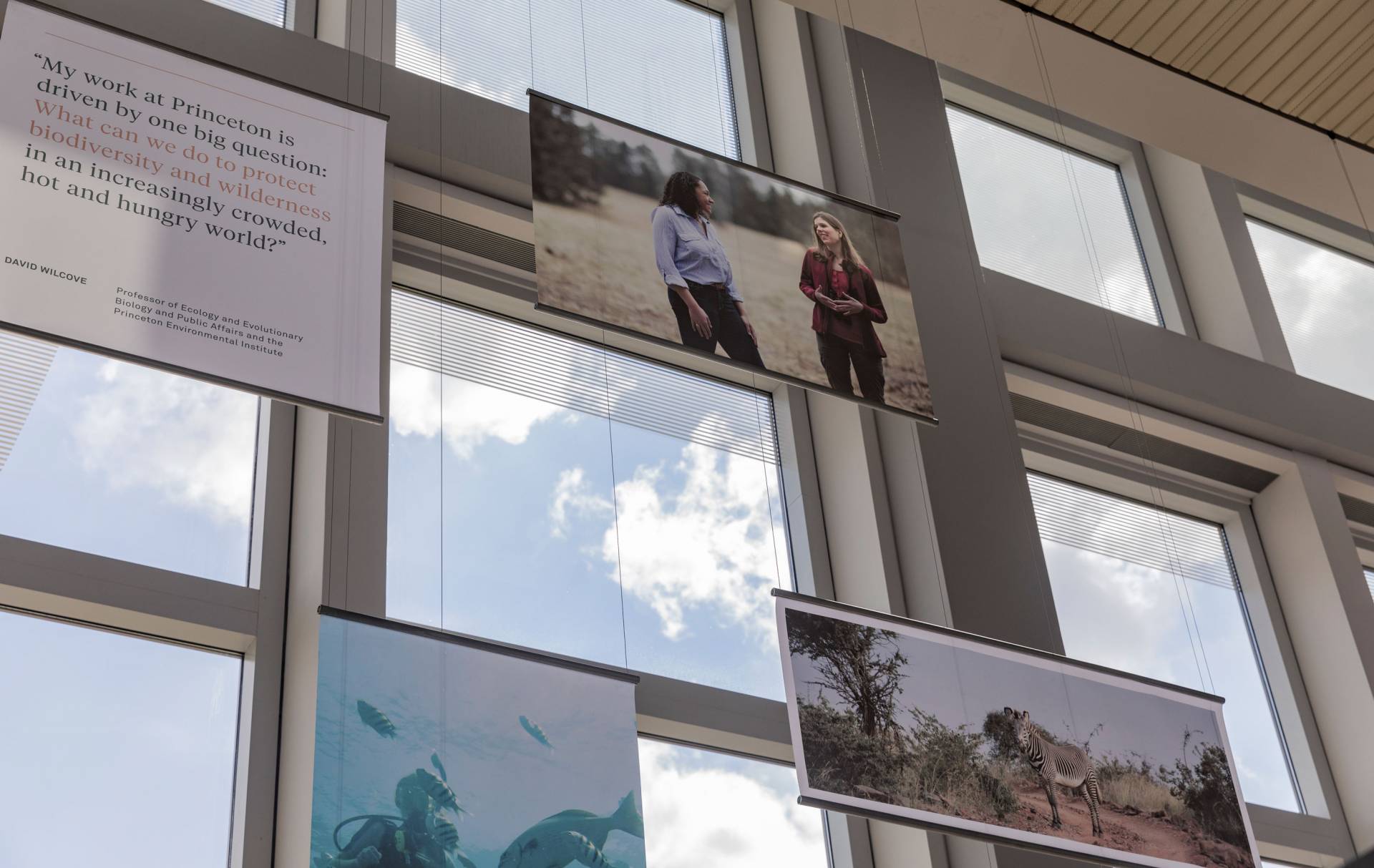 Panels featuring photos in the PEI exhibition