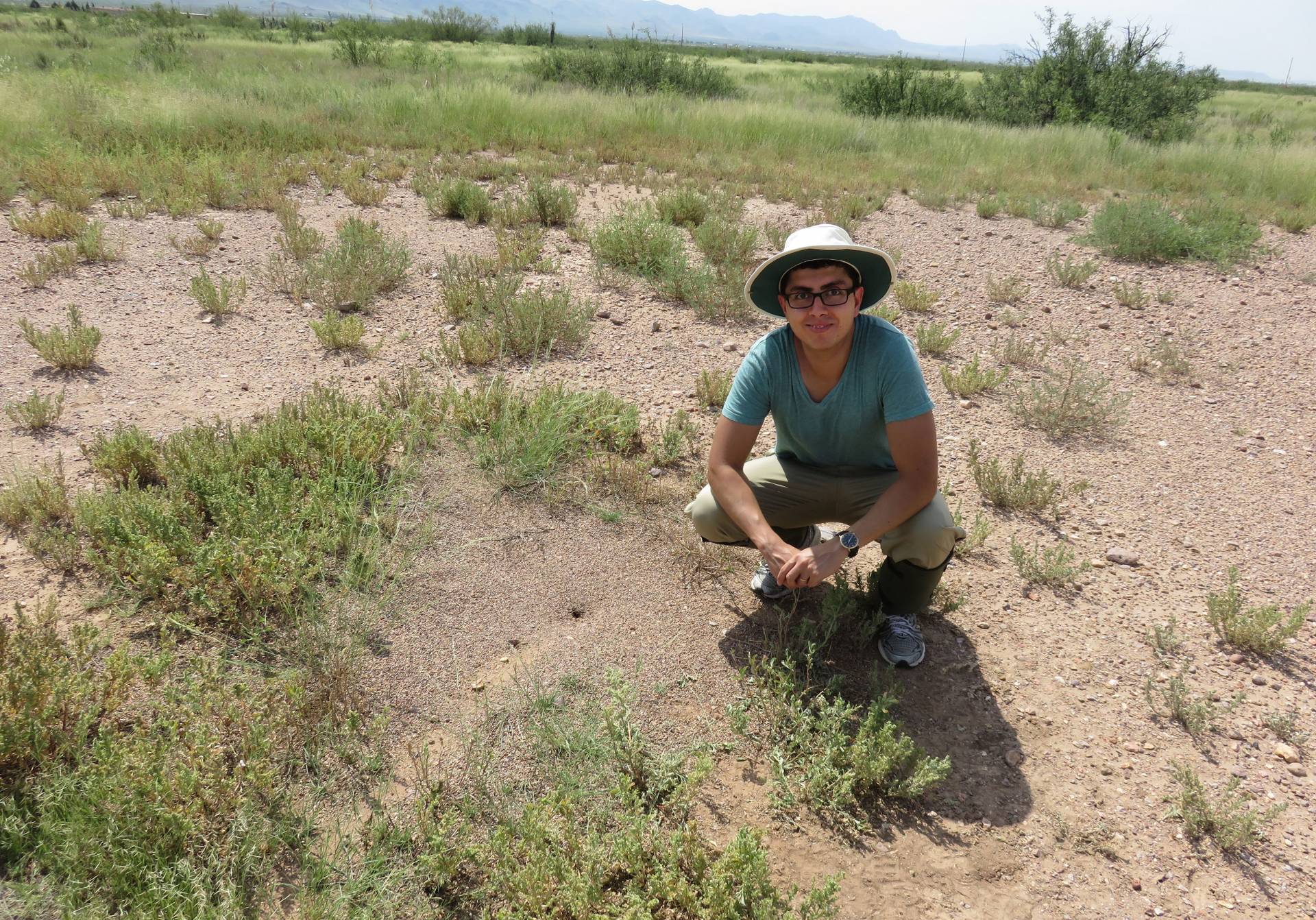 Student squatting amongst anthills