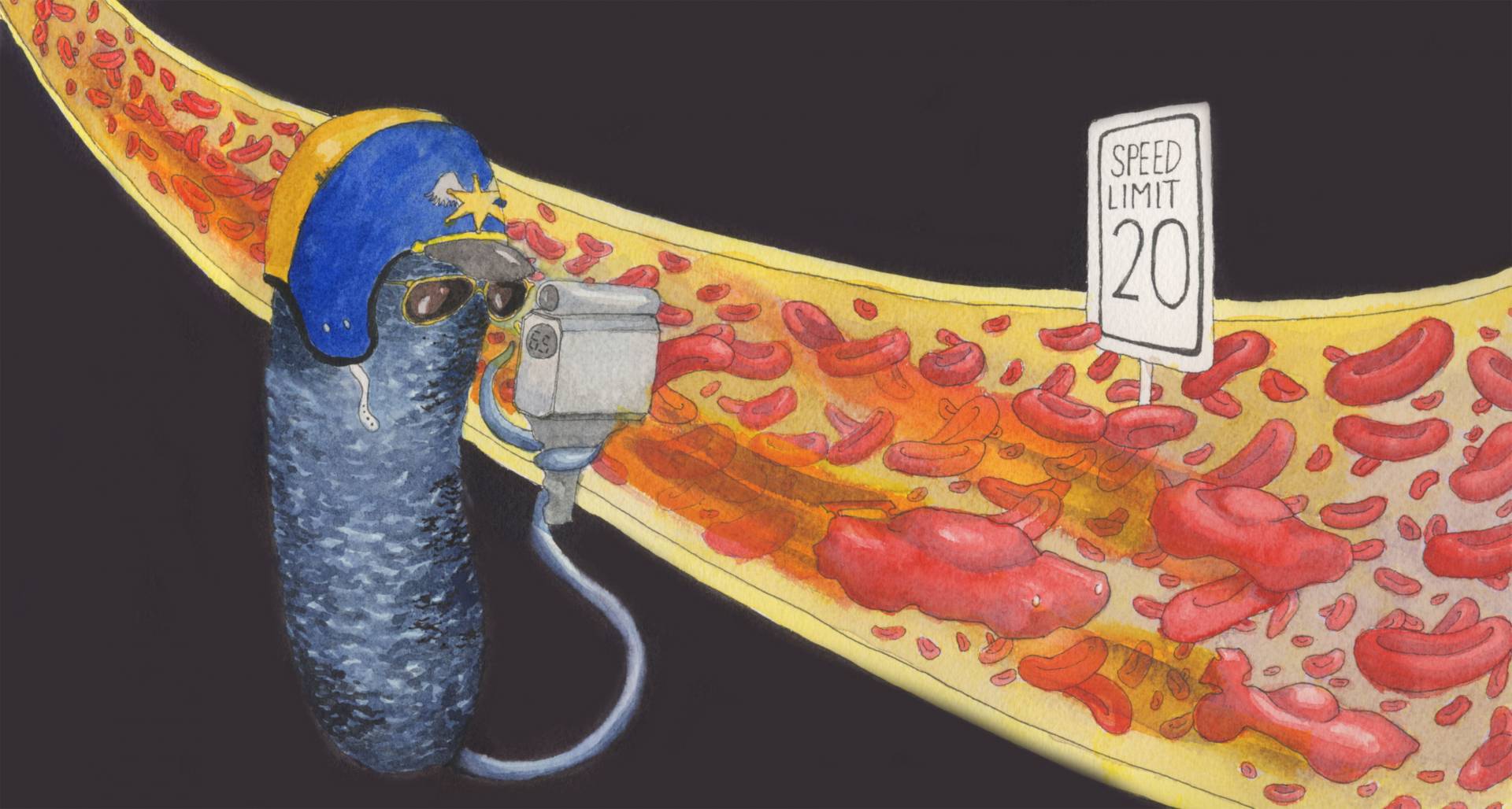 A bacteria measuring the speed of red blood cells with a speed gun
